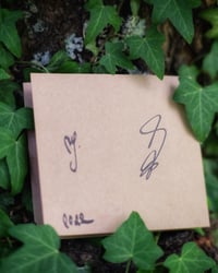 Image 2 of Noekk - The White Lady HANDMADE CD Edition 50 Copies