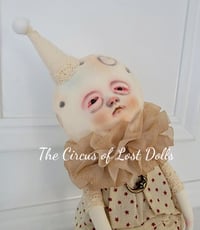 Image 1 of Stella the party Moon