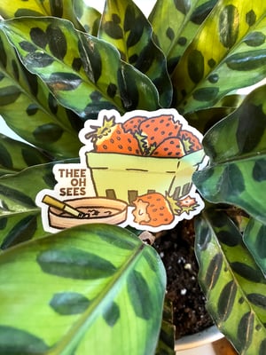 osees strawberries sticker