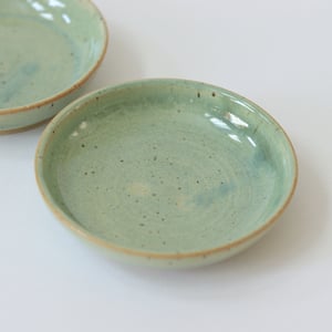 Image of Sage Small Plate
