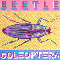 BEETLE
