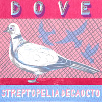 DOVE