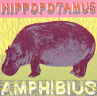 HIPPOPOTAMUS