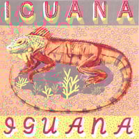 IGUANA