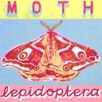 MOTH