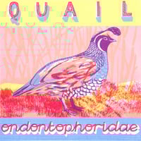 QUAIL