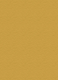 Image of Blender Mustard Yellow Shade
