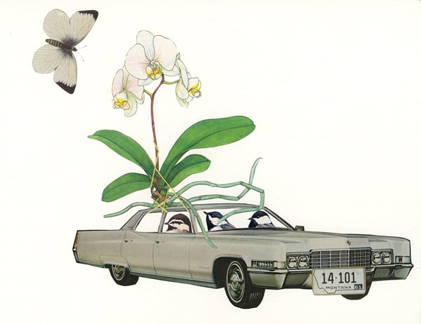 Image of One car funeral. Original paper collage.