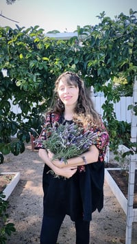 Image 5 of CAMPOS DE LAVANDA