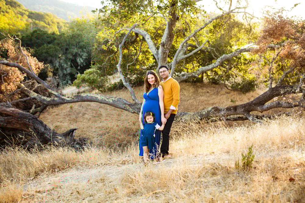 Image of Family Portraits 2025