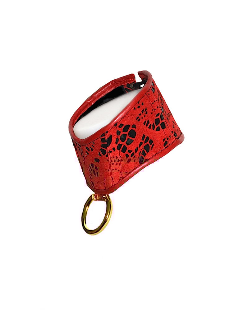 Image of TABOO -POSTURE COLLAR-