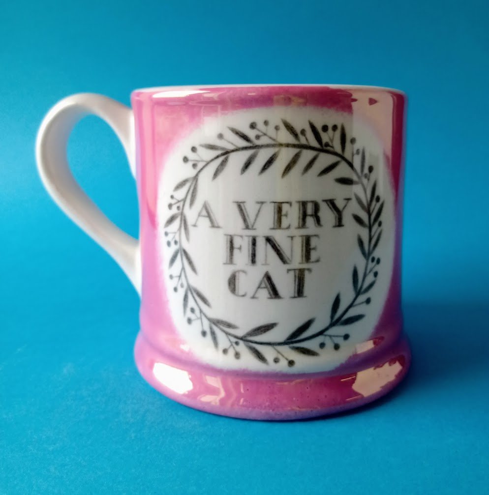 A very fine cat mug - World of Wonders