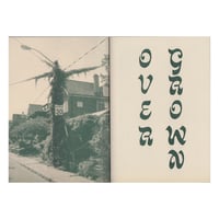 Image 2 of ISSUE 28: OVER GROWN