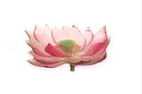 Image 1 of LOTUS Pillow collaborated with JOHN DERIAN COMPANY