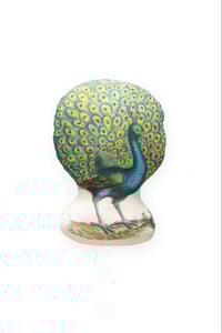 Image 1 of PEACOCK Pillow collaborated with JOHN DERIAN COMPANY