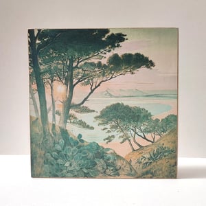 Image of Atardecer en la Playa del Dragón