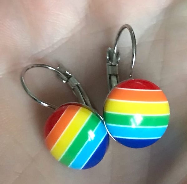 Image of Rainbow earrings 