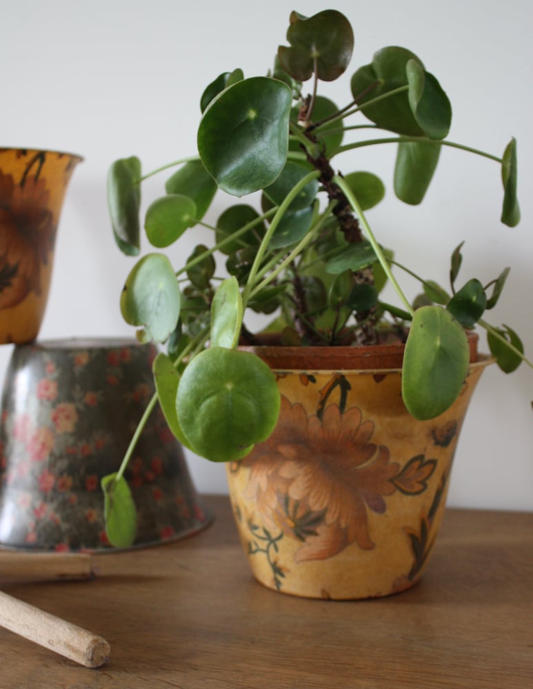 Image of Cache pot fleuri vintage.