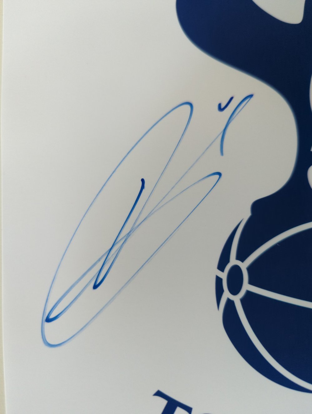 Harry Kane Tottenham Hotspur Signed 10x8
