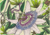 Abriéndose a la vida