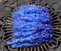 Image 2 of Gotland x Teeswater Long Locks Dyed in Blue and Purple 1.7 oz - 6 inches