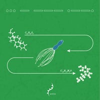 Image 5 of RPT-015: THE HEAD MASSAGER