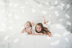 Image of Feather Pillow Petite