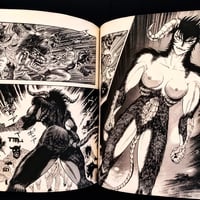Image 5 of Devilman Lady #13