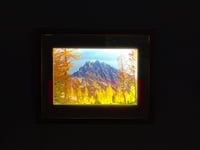 Image 1 of MAX MOYER - 'Larch Tree Light Box"