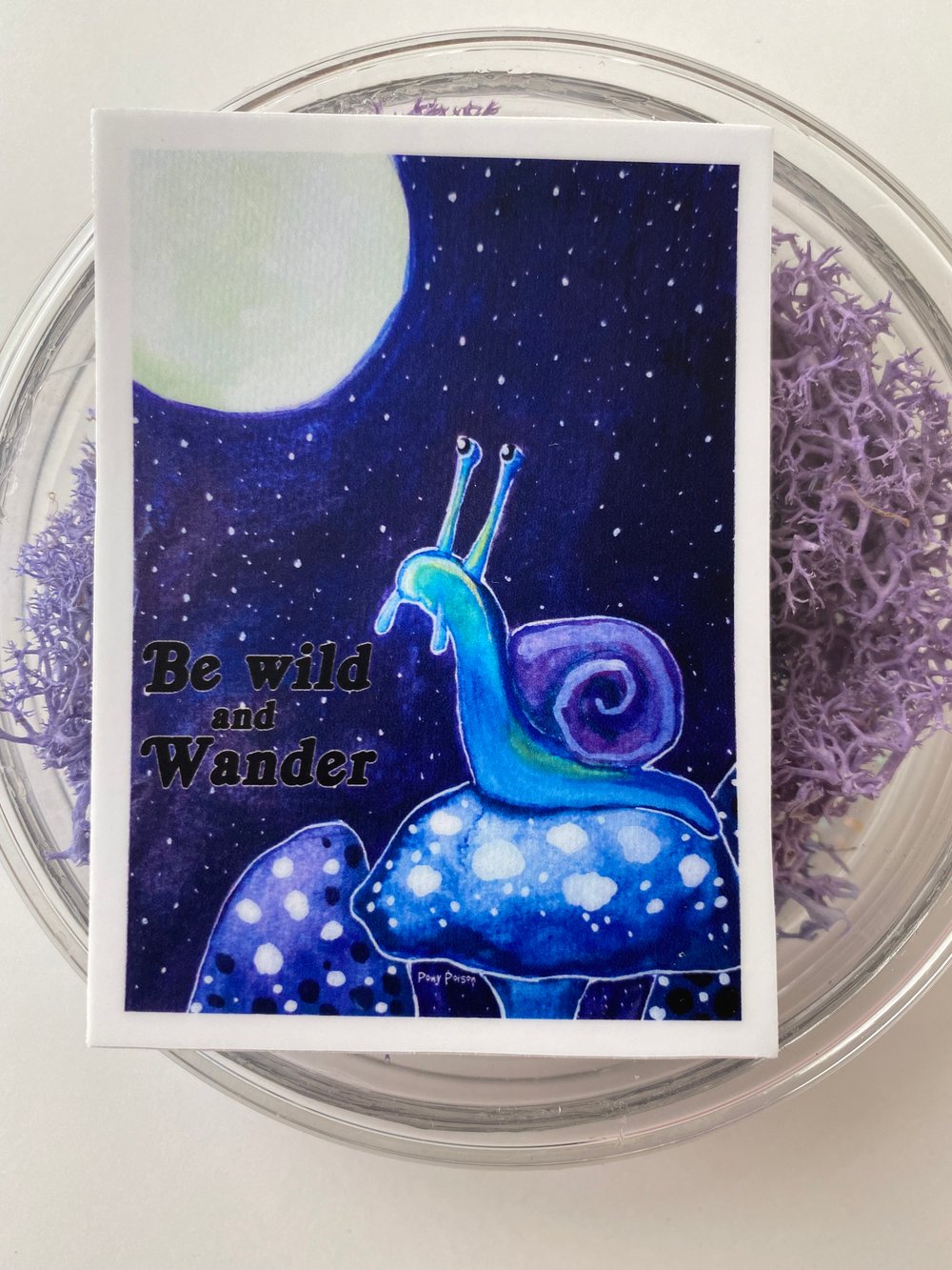 Image of "Midnight Snail" Sticker