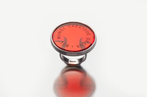 Image of "Worthy to live.." silver ring with red plexiglas · IN AETERNA VIVERE DIGNE ROSA ·