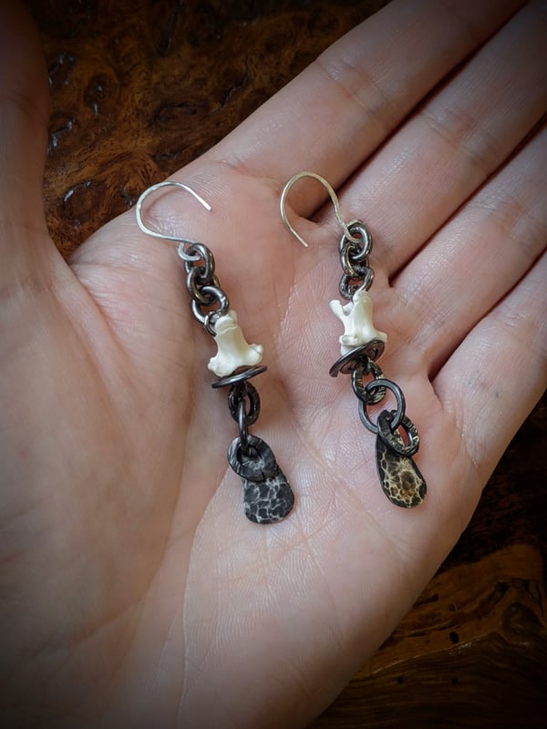 Image of Silver Lizard