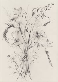 Image 1 of Oxeye daisies study