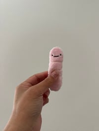 Emotional Support worm