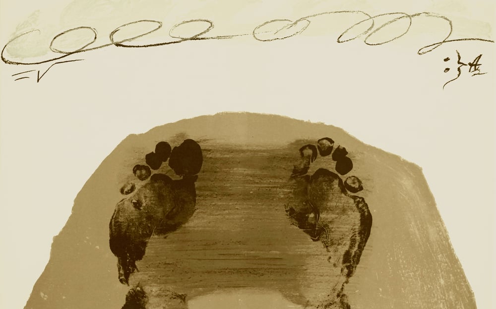 Image of antoni tapies / (feet) / 30/078