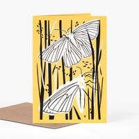Image 1 of Black Veined Moths
