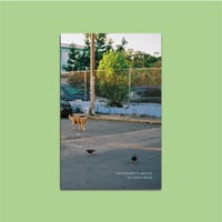 Image 1 of morning walks in santurce