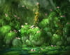 Bog of Frogs (Print)