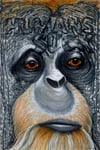 Humans Suck #1 - Orangutan
