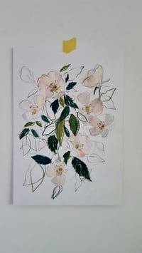 Image 2 of Dog rose no. 2