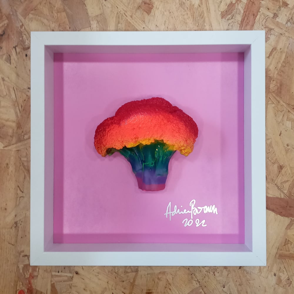 Image of RAINBOW VI