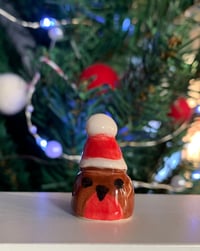 Image 5 of Mini Robins