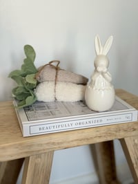 Image 3 of Ceramic Bunny in Egg 