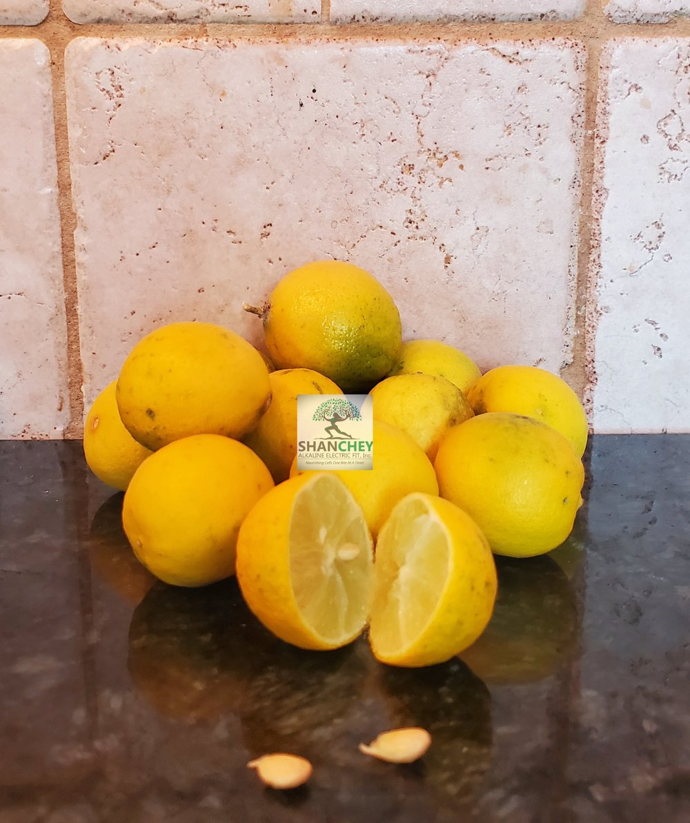 Sweet & Tart! Seeded Key Limes/Powder. Blood Sugar-Cells-Blood Thinner-pH Bal