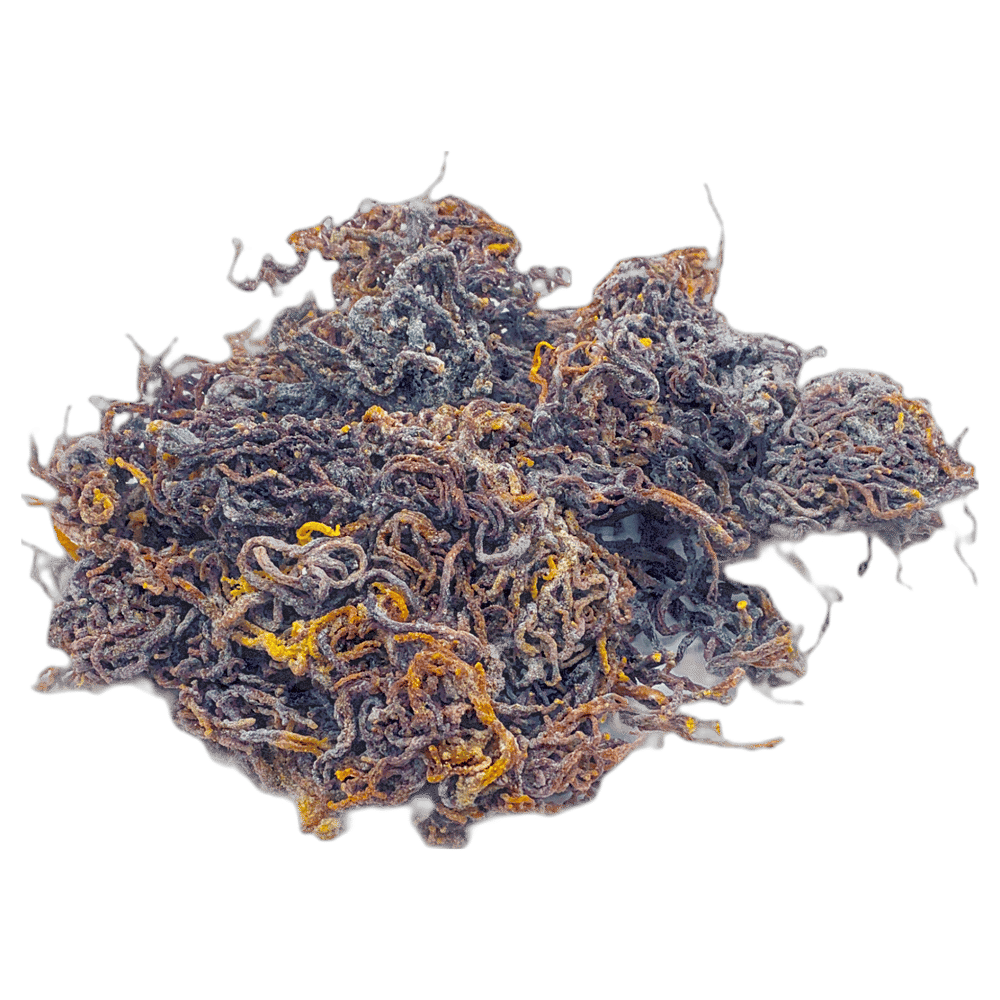 Image of  Purple Sea Moss (High Quality) 1 LB