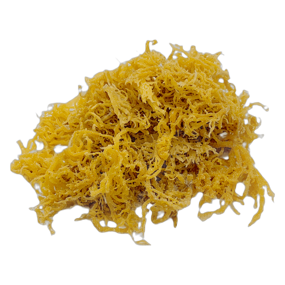 Image of  Wild Crafted Sea Moss