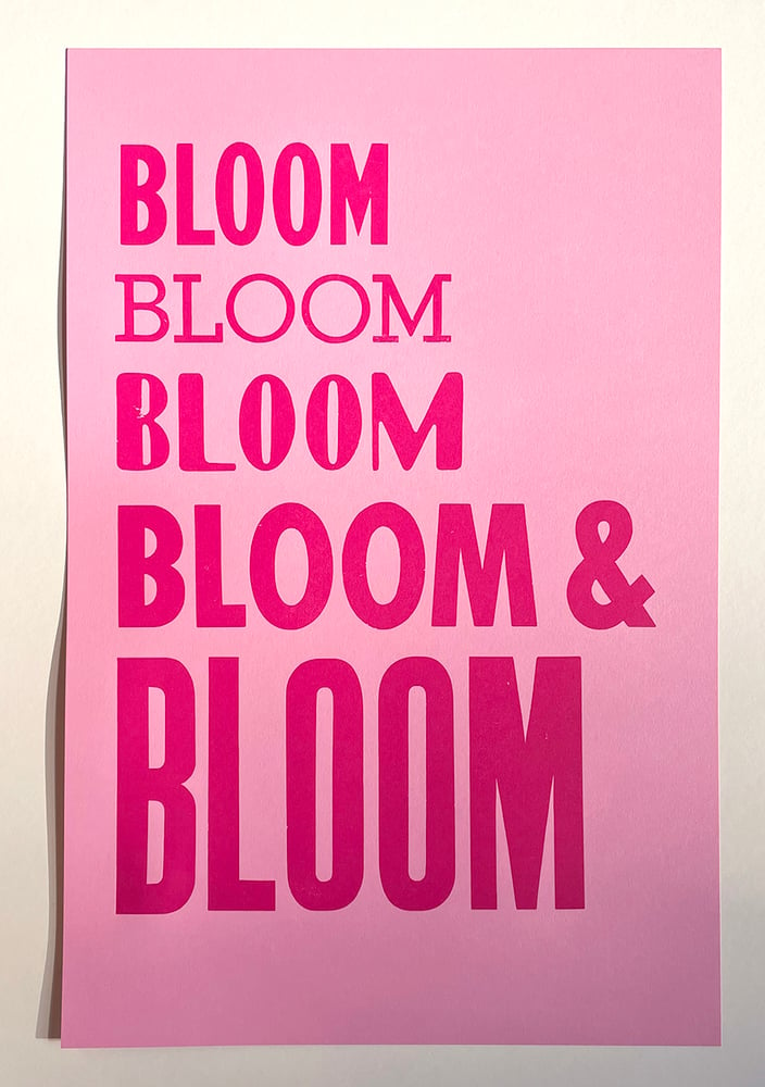 Image of Bloom
