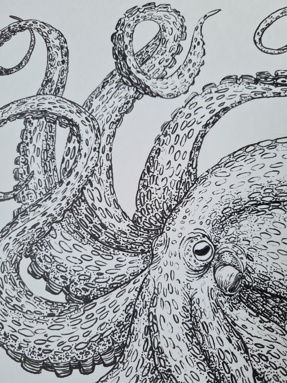 Print: Octopus II