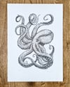 Print: Octopus II