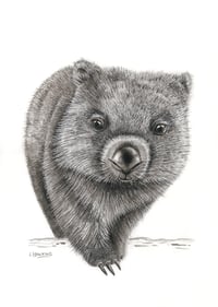 Image 1 of 'Bernie' the Wombat Fine Art Print